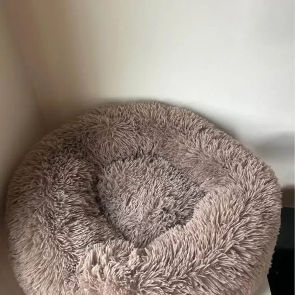 Large dog/cat bed